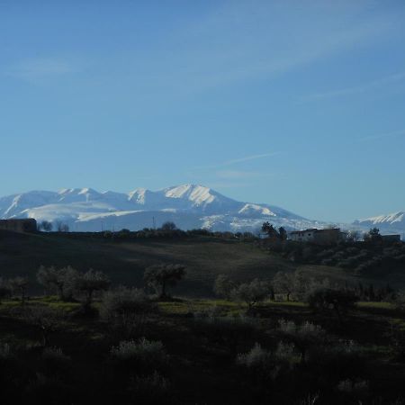 Bed and Breakfast Le Cicale Spoltore Exterior foto