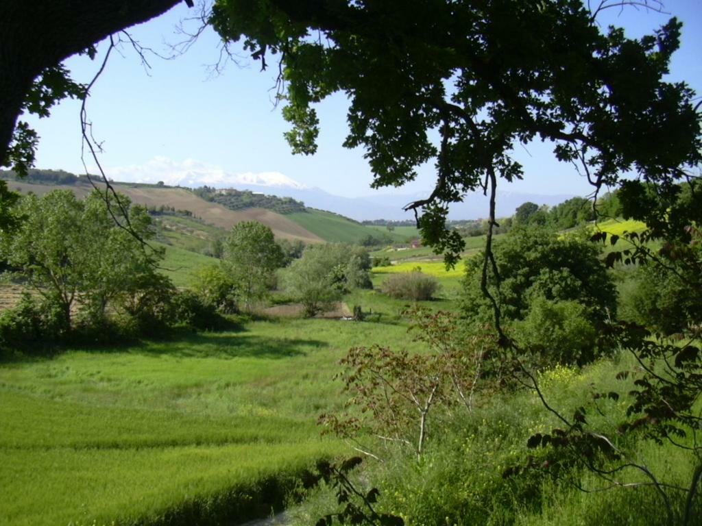 Bed and Breakfast Le Cicale Spoltore Exterior foto