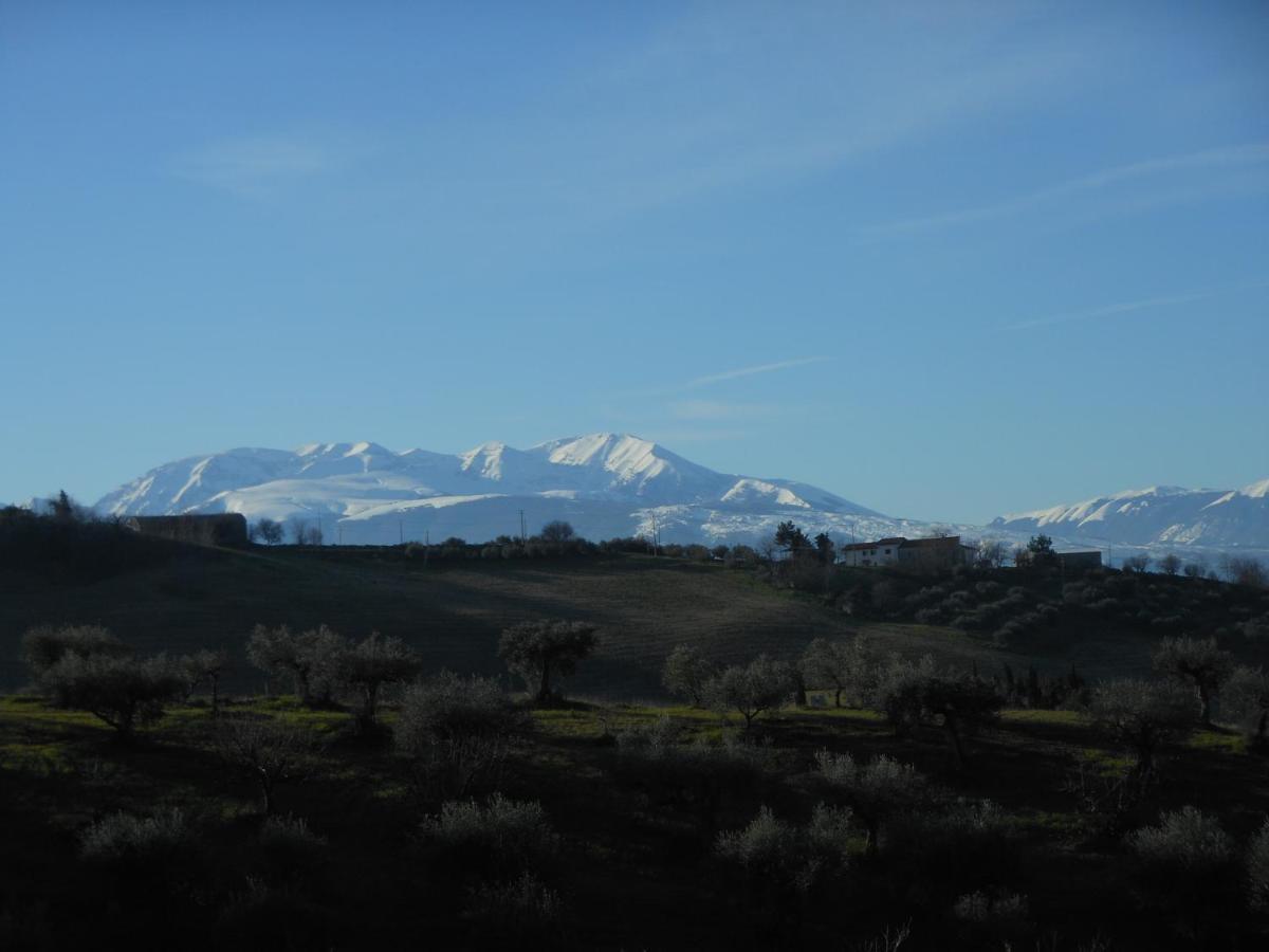 Bed and Breakfast Le Cicale Spoltore Exterior foto